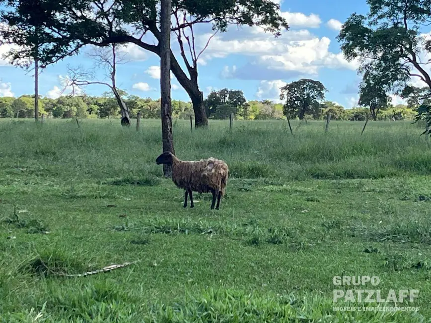 Foto 2 de Sítio / Rancho à venda, 335000m2 em Campo Grande - MS