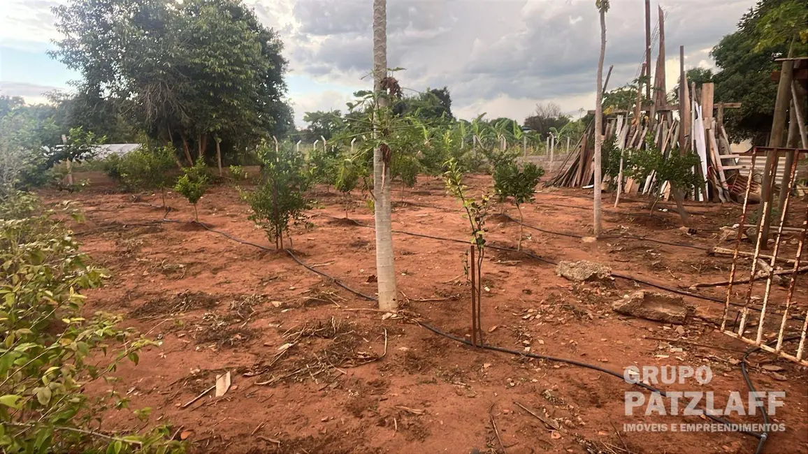 Foto 7 de Chácara à venda, 3500m2 em Chácara das Mansões, Campo Grande - MS