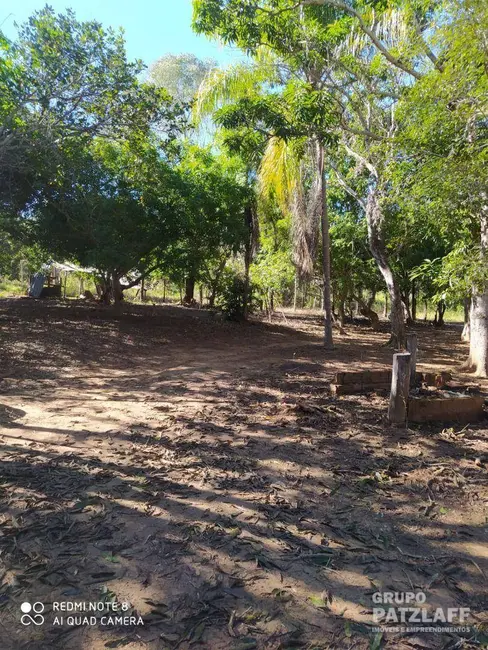 Foto 2 de Chácara com 2 quartos à venda, 300000m2 em Campo Grande - MS