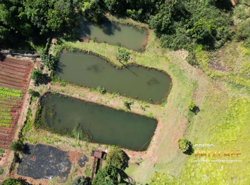 Foto 4 de Chácara com 4 quartos à venda, 66600m2 em Campo Grande - MS