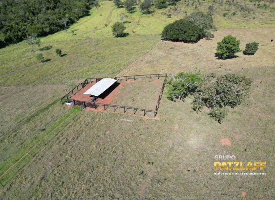 Foto 5 de Chácara com 4 quartos à venda, 66600m2 em Campo Grande - MS