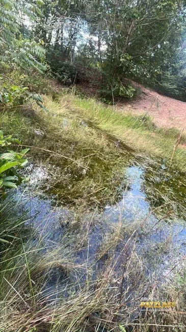 Foto 7 de Chácara à venda, 1120000m2 em Campo Grande - MS