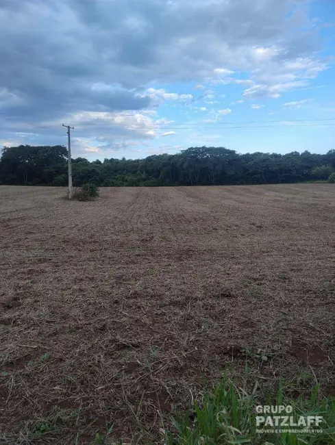 Foto 6 de Fazenda / Haras à venda, 330000m2 em Campo Grande - MS