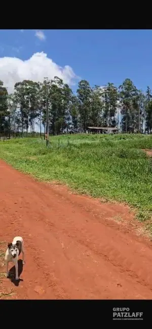 Foto 6 de Fazenda / Haras com 3 quartos à venda, 310000m2 em Campo Grande - MS