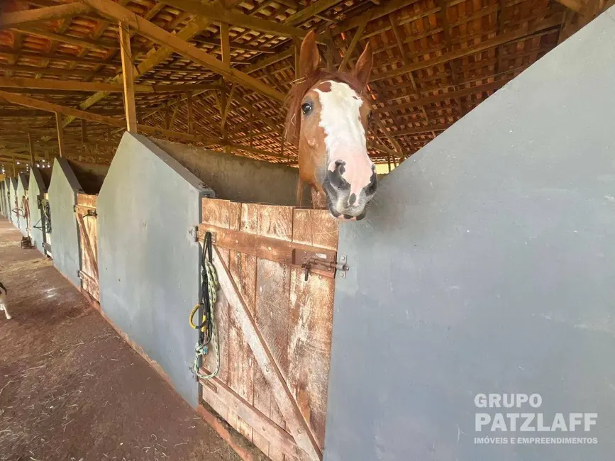 Foto 8 de Fazenda / Haras com 3 quartos à venda, 310000m2 em Campo Grande - MS
