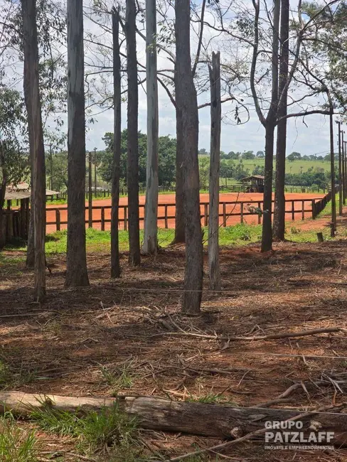 Foto 2 de Fazenda / Haras com 3 quartos à venda, 310000m2 em Campo Grande - MS