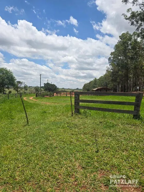 Foto 3 de Fazenda / Haras com 3 quartos à venda, 310000m2 em Campo Grande - MS