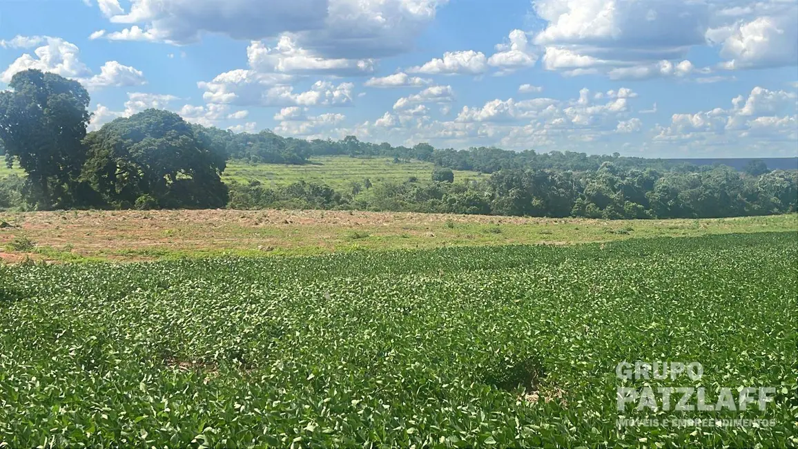 Foto 4 de Fazenda / Haras à venda, 335000m2 em Campo Grande - MS