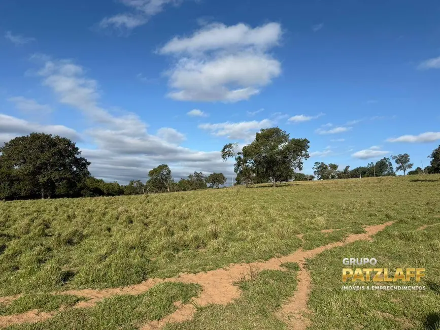 Fazenda / Haras à venda, 4000000m2 em Figueirao - MS - imagem 5 Foto 5 de Fazenda / Haras à venda, 4000000m2 em Figueirao - MS