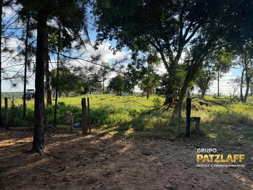Fazenda / Haras à venda, 4000000m2 em Figueirao - MS - imagem 8 Foto 8 de Fazenda / Haras à venda, 4000000m2 em Figueirao - MS