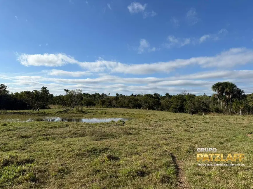 Fazenda / Haras à venda, 4000000m2 em Figueirao - MS - imagem 3 Foto 3 de Fazenda / Haras à venda, 4000000m2 em Figueirao - MS