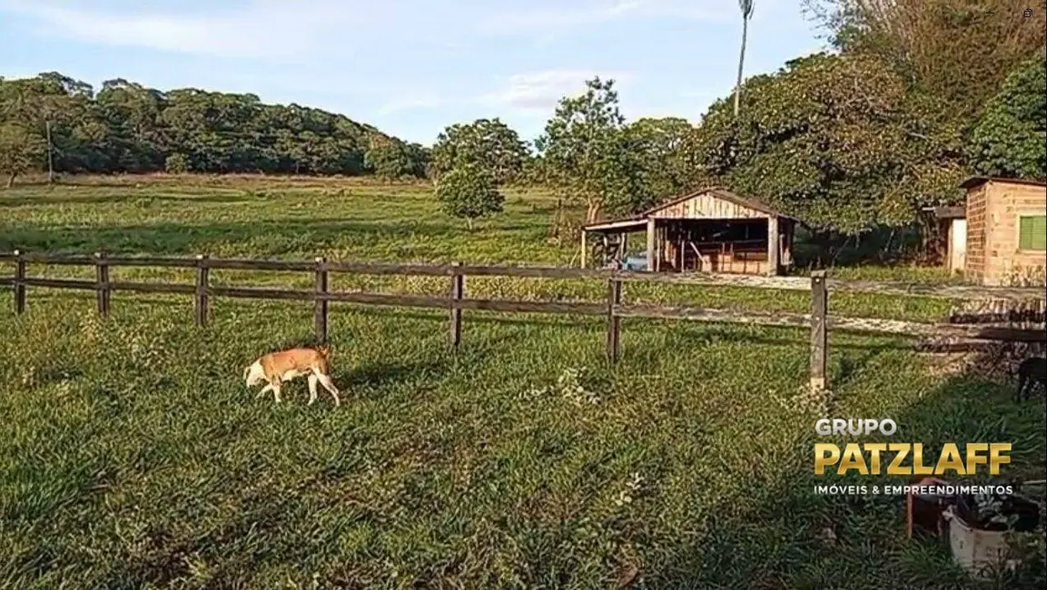Foto 2 de Fazenda / Haras à venda, 4000000m2 em Rio Negro - MS