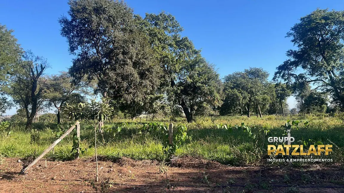Foto 6 de Fazenda / Haras com 3 quartos à venda, 600000m2 em Campo Grande - MS