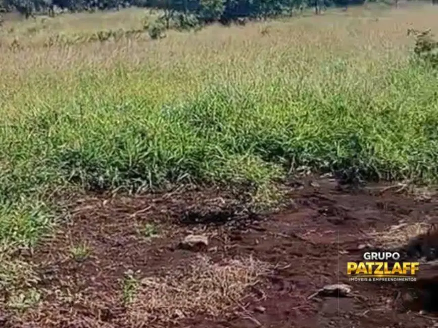 Foto 4 de Fazenda / Haras à venda, 1000000m2 em Campo Grande - MS