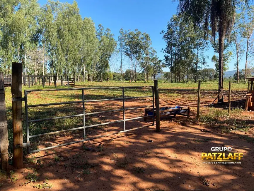 Foto 9 de Chácara com 5 quartos à venda, 40000m2 em Campo Grande - MS