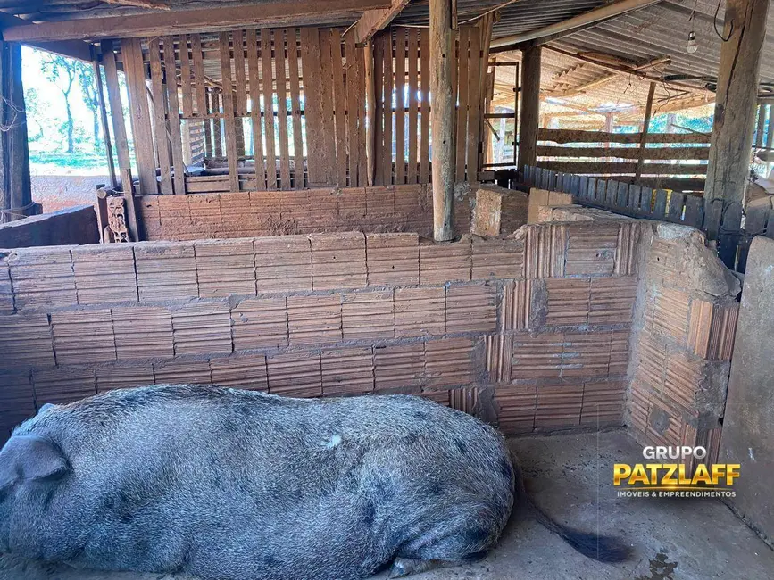 Foto 8 de Chácara com 5 quartos à venda, 40000m2 em Campo Grande - MS