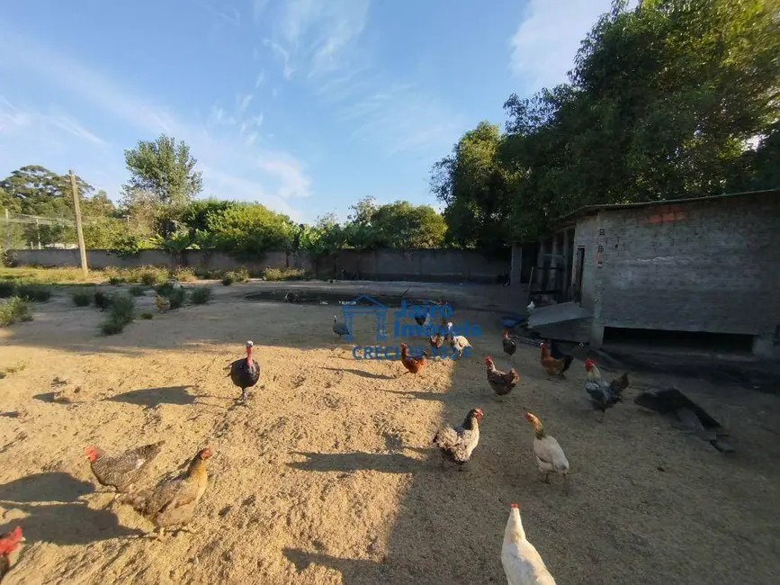 Foto 7 de Sítio / Rancho com 5 quartos à venda, 4770m2 em Balneario Pinhal - RS