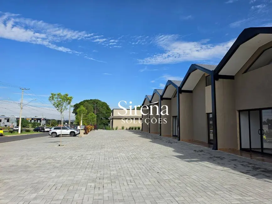 Foto 9 de Sala Comercial para alugar, 1000m2 em Holambra - SP