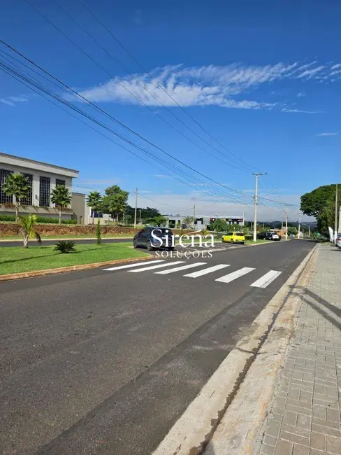 Foto 8 de Sala Comercial para alugar, 1000m2 em Holambra - SP