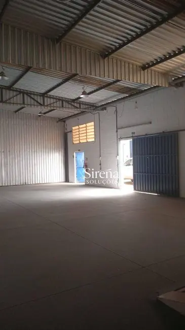 Foto 3 de Armazém / Galpão para alugar, 170m2 em Holambra - SP