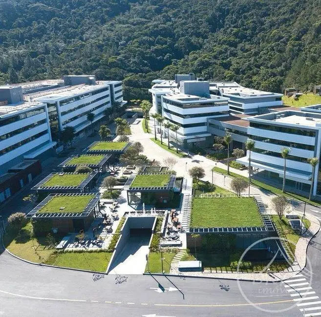 Foto 2 de Sala Comercial à venda, 52m2 em Saco Grande, Florianopolis - SC