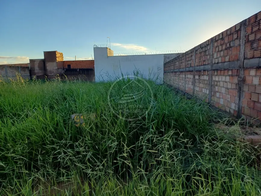 Terreno / Lote à venda, 250m2 em Parque das Laranjeiras, Uberaba - MG - imagem 3 Foto 3 de Terreno / Lote à venda, 250m2 em Parque das Laranjeiras, Uberaba - MG