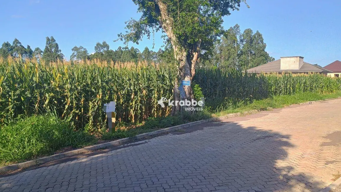 Foto 1 de Terreno / Lote à venda, 707m2 em Languiru, Teutonia - RS