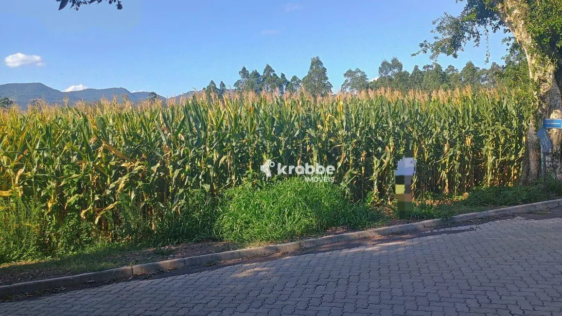 Foto 2 de Terreno / Lote à venda, 707m2 em Languiru, Teutonia - RS