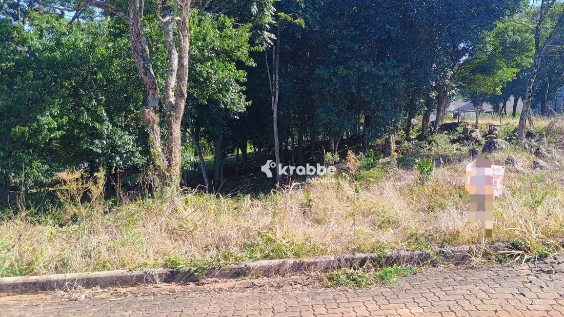 Foto 1 de Terreno / Lote à venda, 384m2 em Languiru, Teutonia - RS