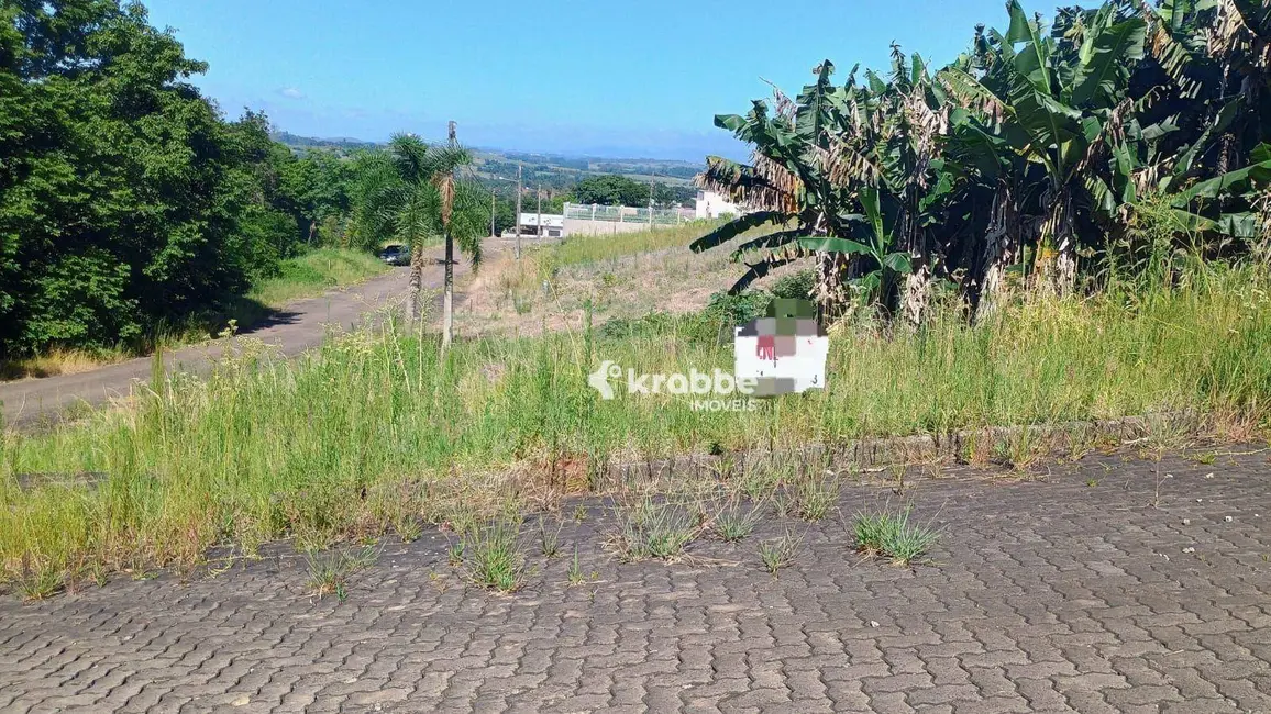 Foto 1 de Terreno / Lote à venda, 388m2 em Teutonia - RS
