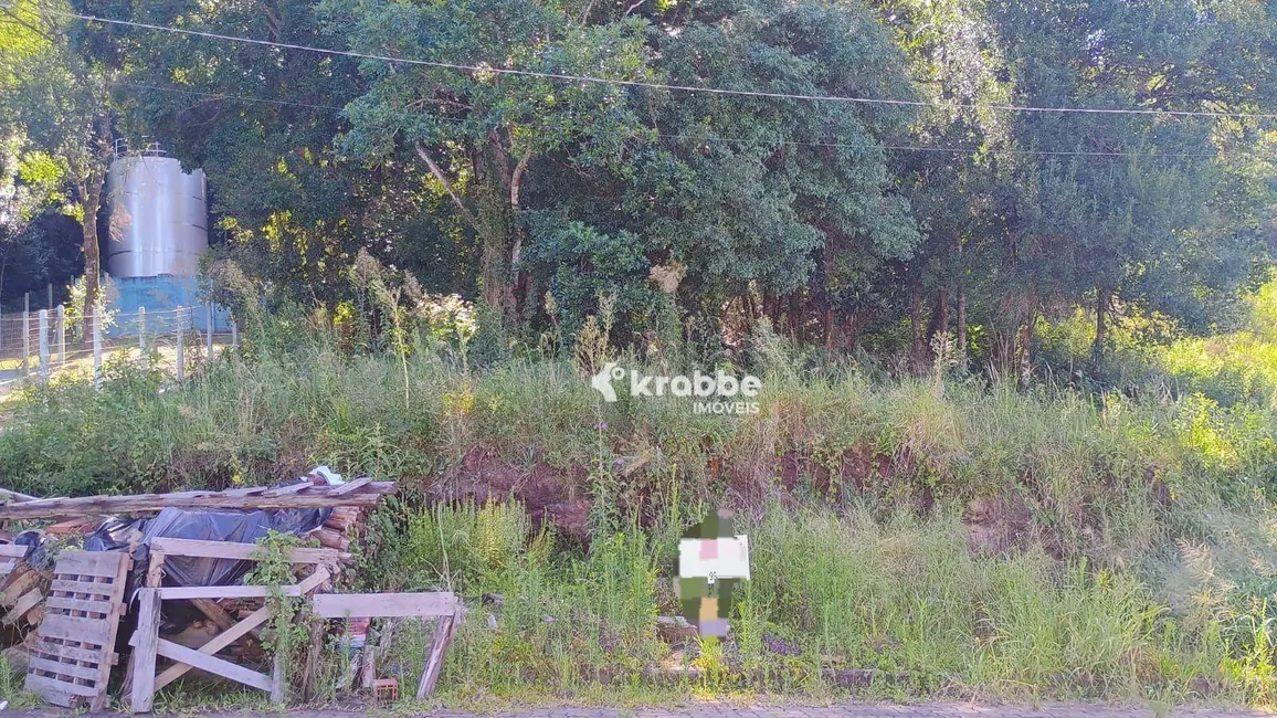 Foto 1 de Terreno / Lote à venda, 439m2 em Teutonia - RS