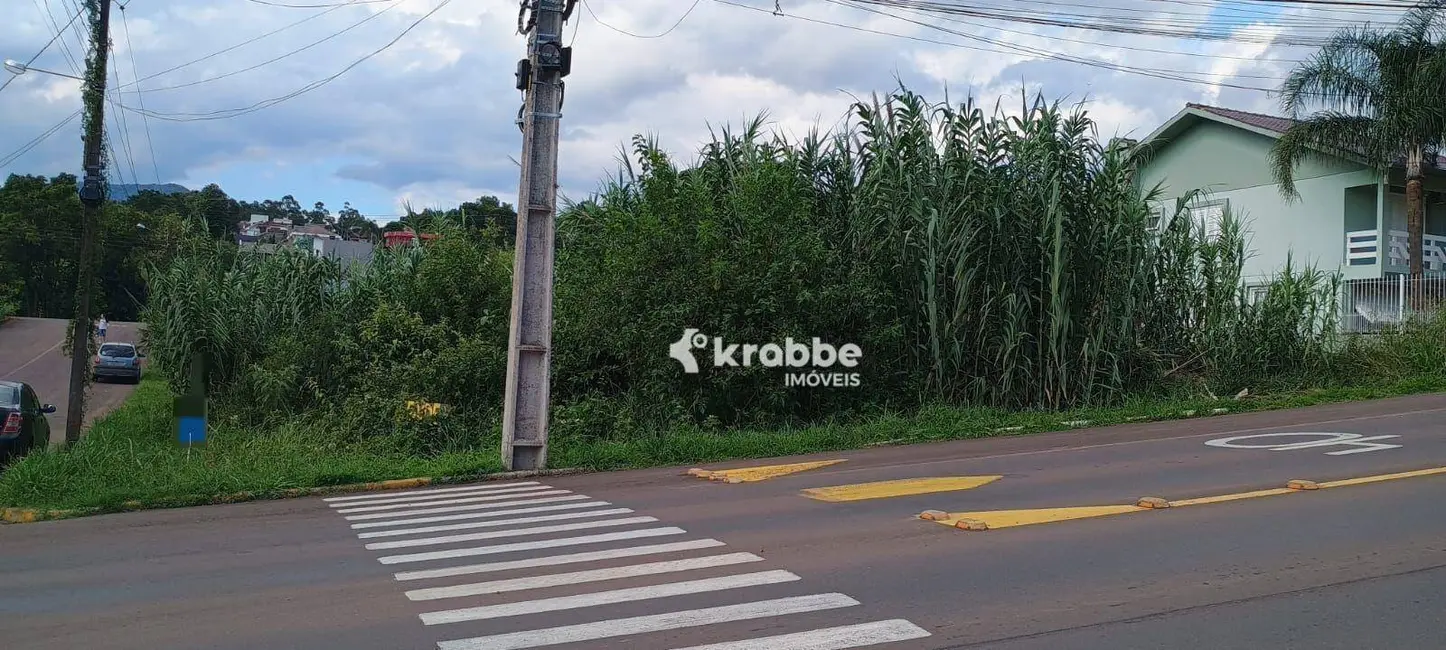 Foto 1 de Terreno / Lote à venda, 2410m2 em Teutonia - RS