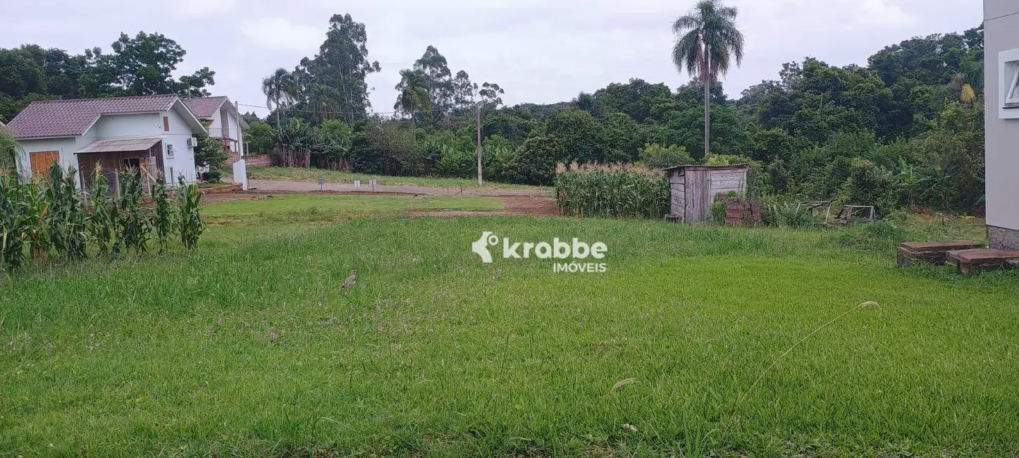 Foto 2 de Terreno / Lote à venda, 360m2 em Languiru, Teutonia - RS