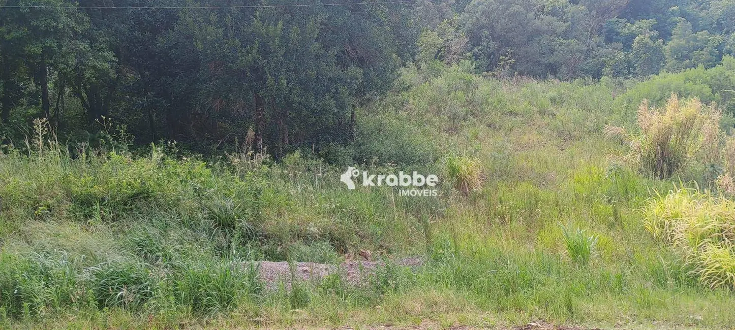 Foto 1 de Terreno / Lote à venda, 439m2 em Languiru, Teutonia - RS
