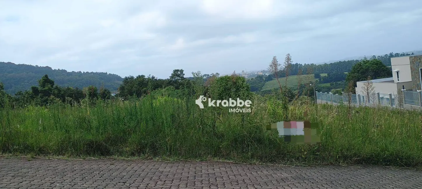 Foto 1 de Terreno / Lote à venda, 388m2 em Languiru, Teutonia - RS