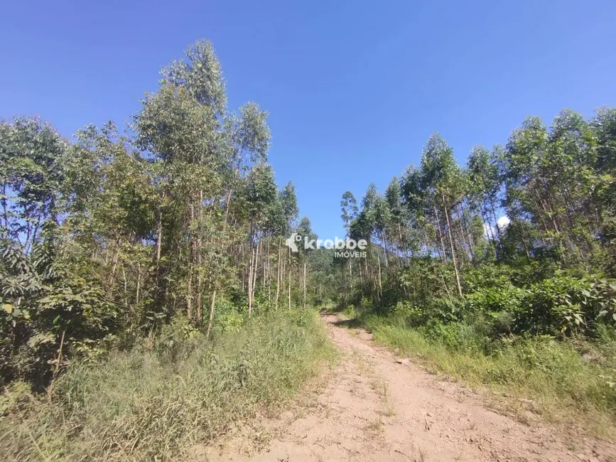 Foto 3 de Sala Comercial à venda, 160200m2 em Centro, Westfalia - RS