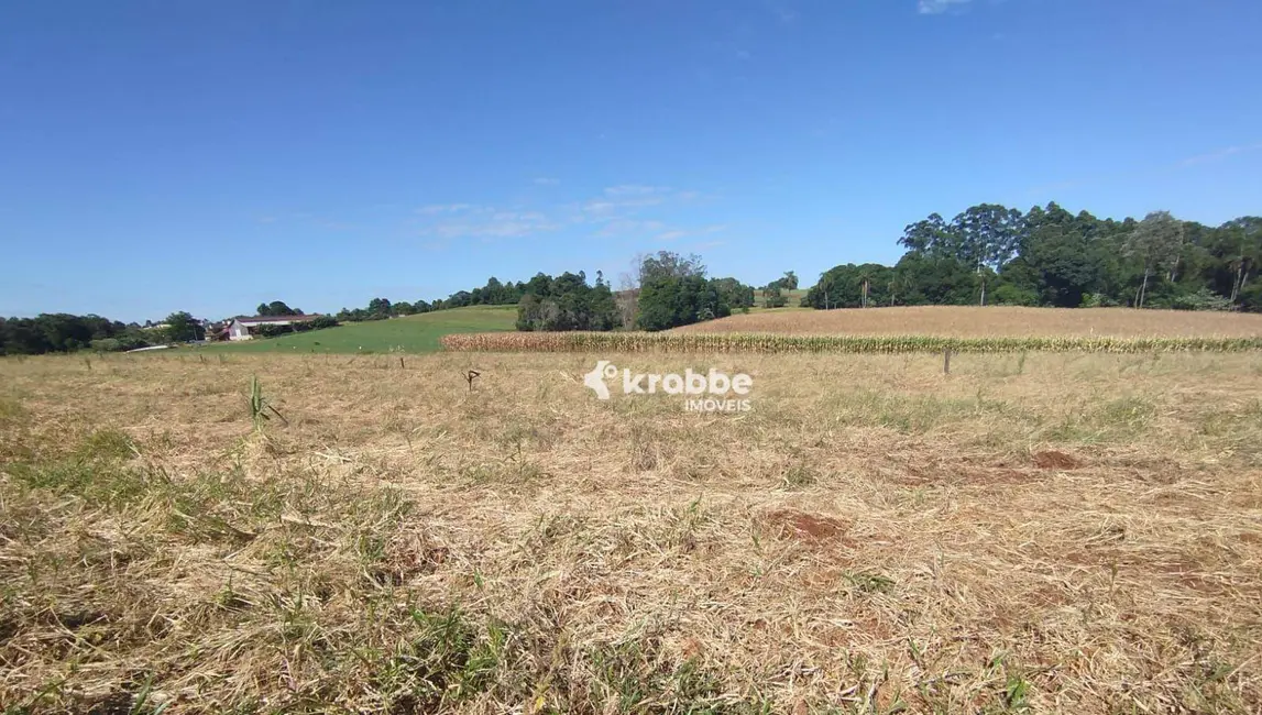 Foto 1 de Terreno / Lote à venda, 1000m2 em Teutonia - RS