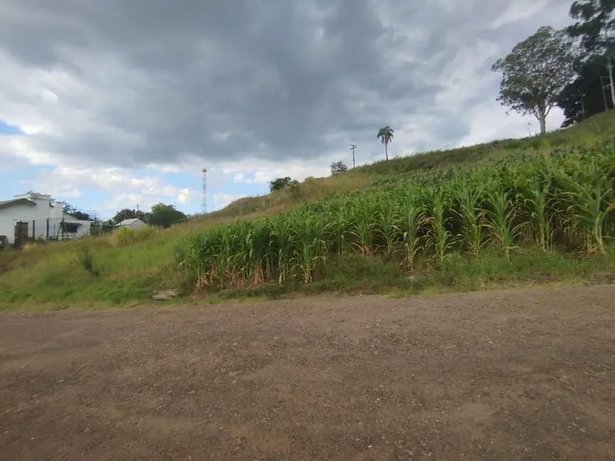 Foto 2 de Terreno / Lote à venda, 357m2 em Westfalia - RS