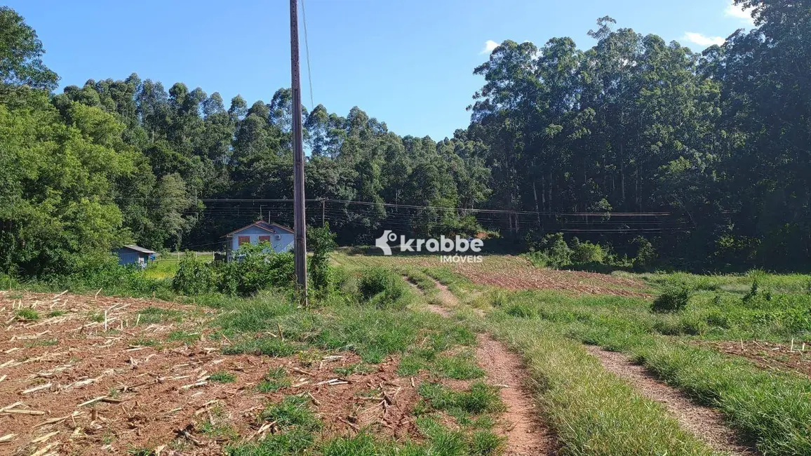 Chácara com 2 quartos à venda, 7000m2 em Pontes Filho, Teutonia - RS - imagem 6 Foto 6 de Chácara com 2 quartos à venda, 7000m2 em Pontes Filho, Teutonia - RS