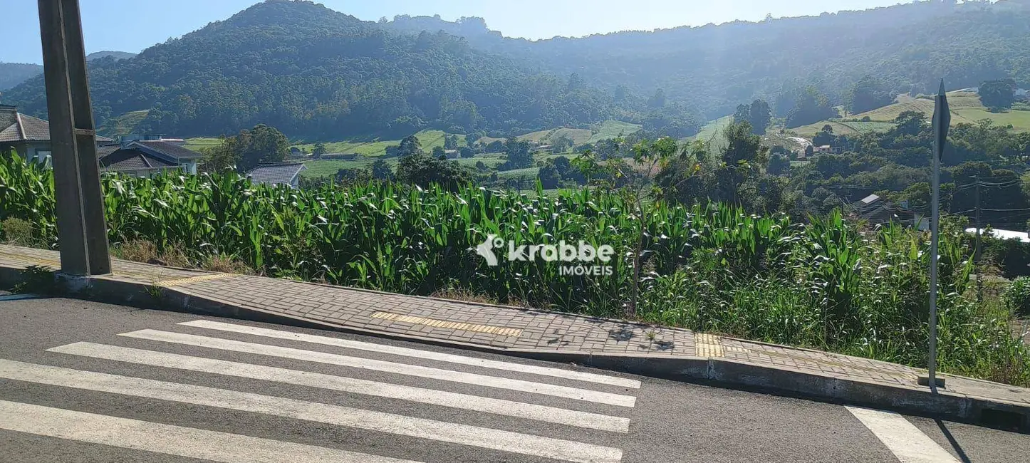 Foto 1 de Terreno / Lote à venda, 450m2 em Westfalia - RS