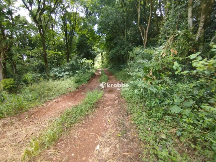 Foto 4 de Sala Comercial à venda, 51600m2 em Westfalia - RS