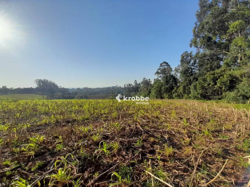 Foto 4 de Sala Comercial à venda, 88000m2 em Estrela - RS