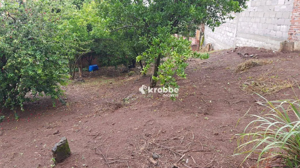 Foto 5 de Casa com 3 quartos à venda, 429m2 em Estrela - RS