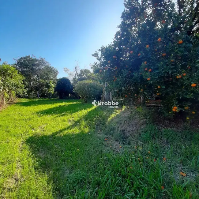 Foto 3 de Chácara com 3 quartos à venda, 3800m2 em Estrela - RS