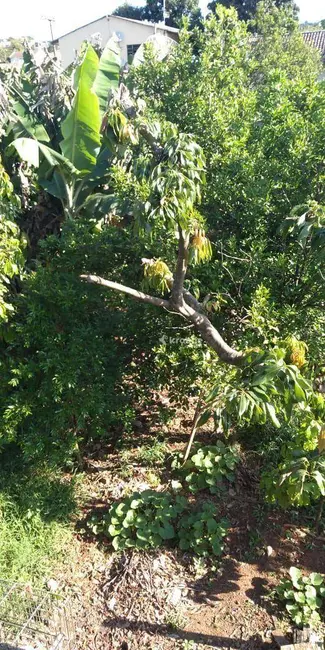 Foto 5 de Casa com 2 quartos à venda, 495m2 em Estrela - RS