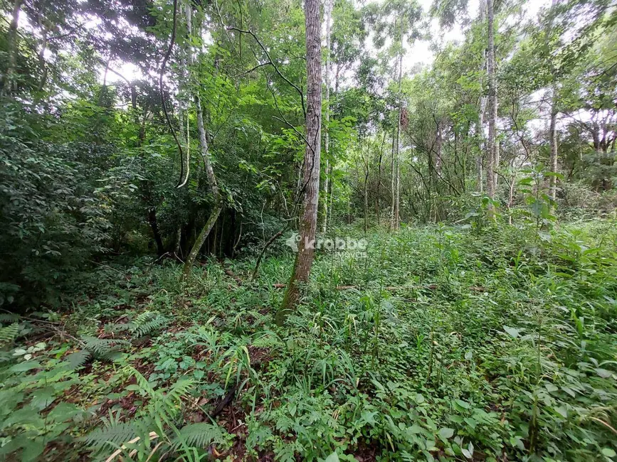 Foto 6 de Sala Comercial à venda, 4420m2 em Estrela - RS