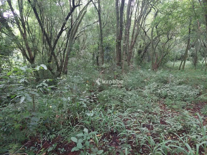 Foto 7 de Sala Comercial à venda, 4420m2 em Estrela - RS