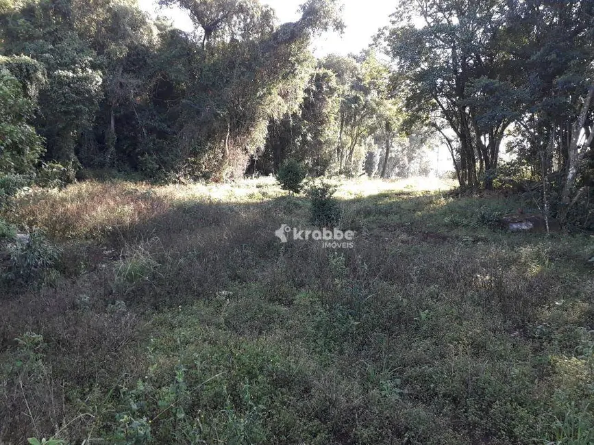 Foto 1 de Sala Comercial à venda, 3000m2 em Imigrante - RS