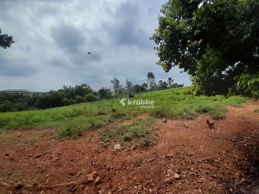 Foto 8 de Chácara com 4 quartos à venda, 18000m2 em Estrela - RS