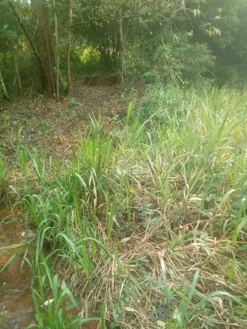 Sala Comercial à venda, 1550m2 em Teutonia - RS - imagem 7 Foto 7 de Sala Comercial à venda, 1550m2 em Teutonia - RS